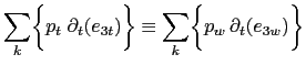 $\displaystyle \sum\limits_{i,j,k} \biggl\{ p_t\;\partial_t (b_t) \biggr\} \equiv \sum\limits_{i,j,k} \biggl\{ p_w  \partial_t (b_w) \biggr\}$